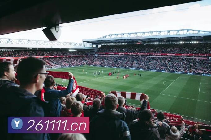 App Interface Preview